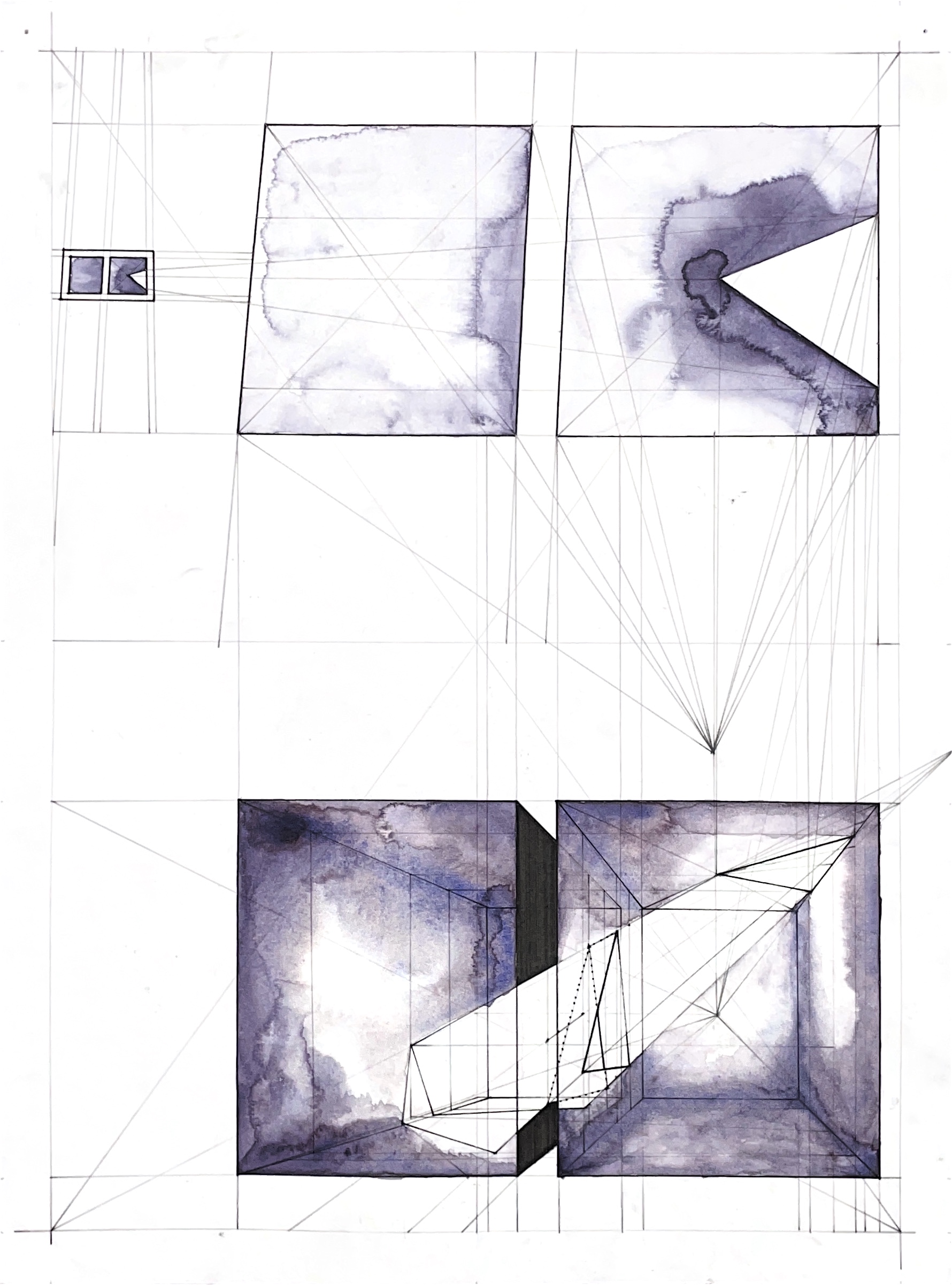 cell 12